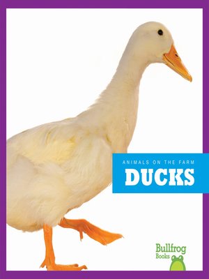 cover image of Ducks